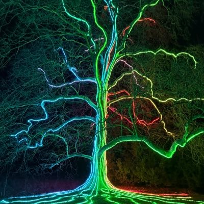 januscicero's profile picture. 