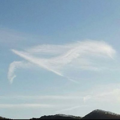 U_fm_1_kit's profile picture. 競走馬生産牧場