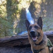 Batman4evRon's profile picture. 