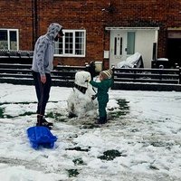 Lee🇬🇧MMA🥋 (@smokeydawg27) 's Twitter Profile