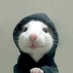 Evx BlobFish (@evxbs_) Twitter profile photo Evx BlobFish (@evxbs_) Twitter profile photo