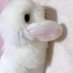oisín (ˊᵒ̴̶̷̤ ꇴ ᵒ̴̶̷̤ˋ) (@deerbmi) Twitter profile photo oisín (ˊᵒ̴̶̷̤ ꇴ ᵒ̴̶̷̤ˋ) (@deerbmi) Twitter profile photo