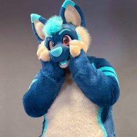 Fuze_Husky (@fuze_husky) 's Twitter Profile