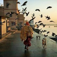 Suat Özata (@suatozata2005) Twitter profile photo