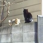 rf_deadman's profile picture. OUTRAGE(BAND)推し。Tweetは所属する組織等とは無関係。