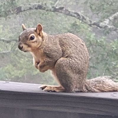 Robee1961's profile picture. 