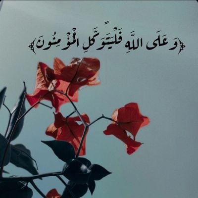 sqr_ye's profile picture. احد أنصار الامام المهدي ناصر محمد اليماني