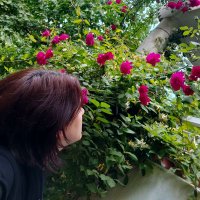 Sibel KOÇER (@kocersibel) Twitter profile photo