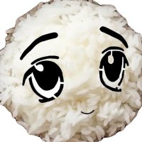safetyBot 🍚⛓️ (@degenrobot) 's Twitter Profile Photo safetyBot 🍚⛓️ (@degenrobot) 's Twitter Profile Photo