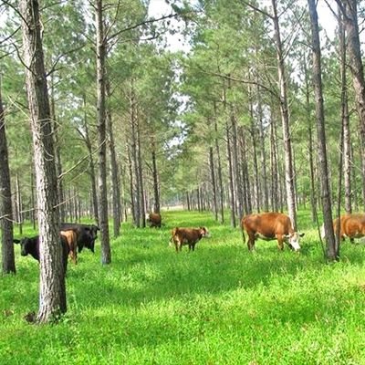 A farmer• study plants• animal breeding• poultry production and plant culture 🌿🌾