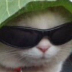 netrix_official's profile picture. ez #Symetryści #Hołownia2025 #GymRat #CPKnaTAK