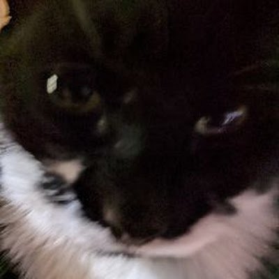 gach0_'s profile picture. 