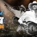AlanJackson (@alanjacksonoflc) Twitter profile photo AlanJackson (@alanjacksonoflc) Twitter profile photo
