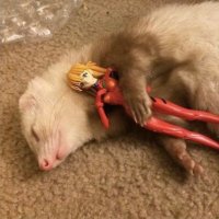 chaoskampf (@chaoskampf__) 's Twitter Profile