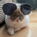 robyn 👱🏻♀️& paddy 🐰 (@paddyloaf) Twitter profile photo robyn 👱🏻♀️& paddy 🐰 (@paddyloaf) Twitter profile photo