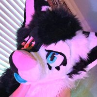 Lugia simp ➡️ FWA (@frisky_fennecad) 's Twitter Profile
