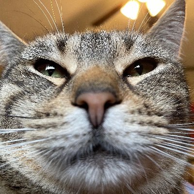 unuuu129153's profile picture. Santa Fe, NM