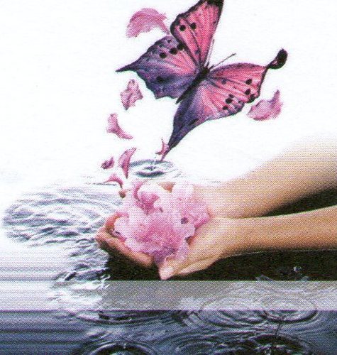 TheBookkeeper1's profile picture. Bookkeeper looking for work, can do evenings and weekends, no job to big or small, covering Herts,Beds & Bucks