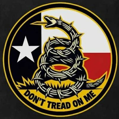 WtpDtom's profile picture. ⭐⭐🇱🇷🇱🇷 MAGA 🇱🇷🇱🇷⭐⭐