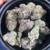 Exotic Weed (@sirthebrand) Twitter profile photo Exotic Weed (@sirthebrand) Twitter profile photo