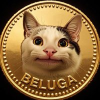 $BELUGA (@belugacatonsol) 's Twitter Profile