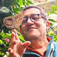 G. Andrade (@gonzaloandradec) 's Twitter Profile Photo G. Andrade (@gonzaloandradec) 's Twitter Profile Photo
