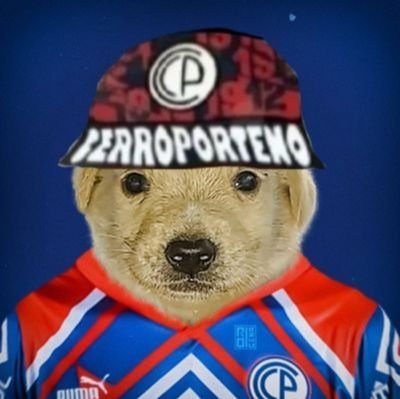 Perro Cerrista Profile