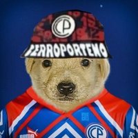 Perro Cerrista (@perrocerrista) 's Twitter Profile Photo Perro Cerrista (@perrocerrista) 's Twitter Profile Photo