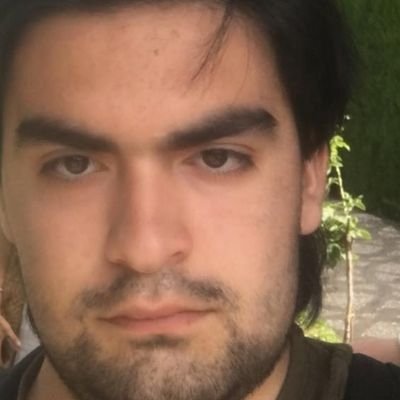 No specific Ideology. Political Science Student, Enthusiast of the past. Big secular government supporter, be it left, right, or third position.
