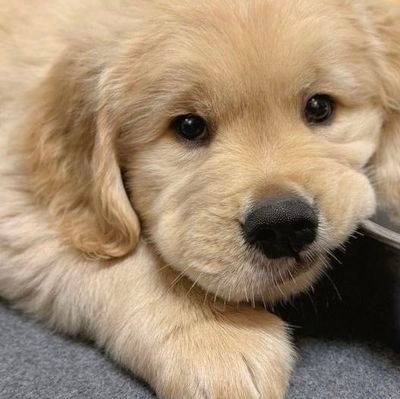 boo_660's profile picture. ook (⁠ ⁠◜‿◝.⁠ ⁠)⁠♡