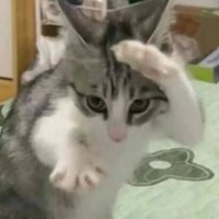 ⋆˚˖❁Powpow (@powpowee_) 's Twitter Profile Photo ⋆˚˖❁Powpow (@powpowee_) 's Twitter Profile Photo