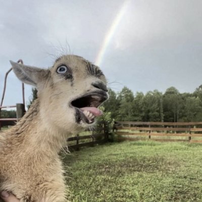 Farm3rBr0wn's profile picture. 