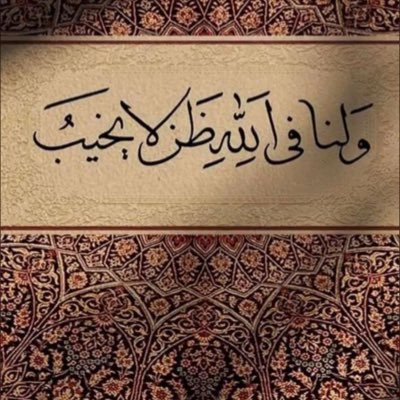 o4_1v's profile picture. 