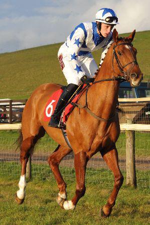 RobSparksHorses's profile picture. 