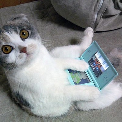 azlankhan52's profile picture. 