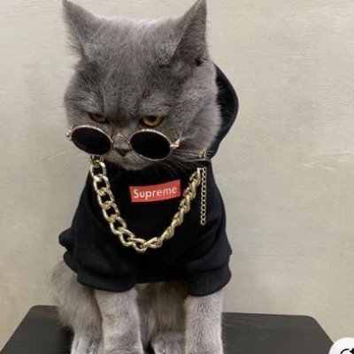 Cuentas_Pablo's profile picture. Dios tiene un plan para mí.