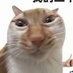你眼里却此刻充满泪 (@minigoatyy) Twitter profile photo 你眼里却此刻充满泪 (@minigoatyy) Twitter profile photo