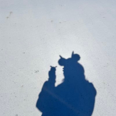 Ramune_fizzy_'s profile picture. 20↑/ほぼディズニーメイン投稿です/※時々雑垢になります(映画など)/無言フォロー失礼致します