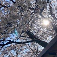 さんご🪸 (@4tsv7telaq33446) 's Twitter Profile Photo さんご🪸 (@4tsv7telaq33446) 's Twitter Profile Photo