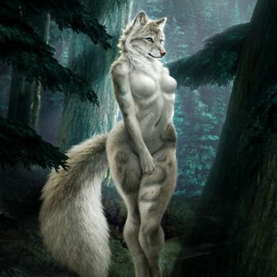 dksldksldi01010's profile picture. 