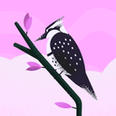 Tray Gray - @TrayGray726024 - Twitter