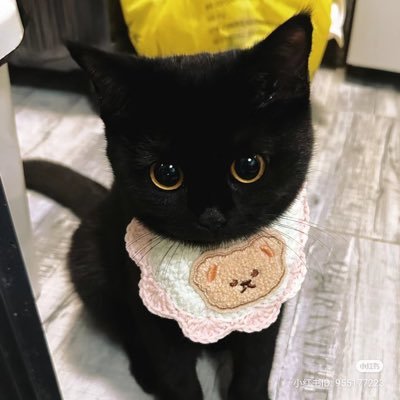 ♡さんのプロフィール画像