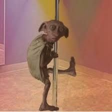 TheAriannee's profile picture. 