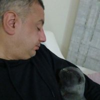 Onur Yılmaz (@onuryilmaz3366) 's Twitter Profile