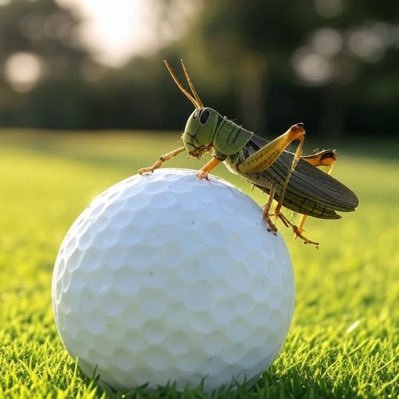 Fare_Qualcosa's profile picture. I’m just trying to do something.