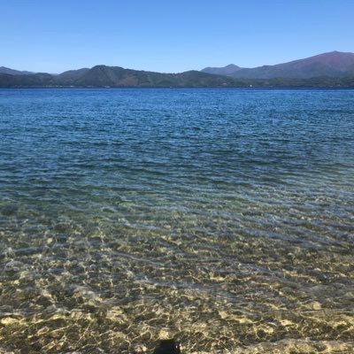 kuri373TEQ's profile picture. RUNTEQ66期B/2026年2月19日入学/温泉・紅茶・中国茶・映画（最近はホラーにはまり中）・アニメが好きです