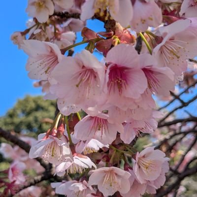 刀剣乱舞(モブ審神者)、ヒプノシスマイク、るろ剣、動物関連、博物館や美術館、コミケやその他あちこちに出現。
無言フォロー失礼します。裏垢、副業など直感で怪しい( ¬ ω ¬ )と思ったアカは🔇か🚔️しますね♥️成人済。