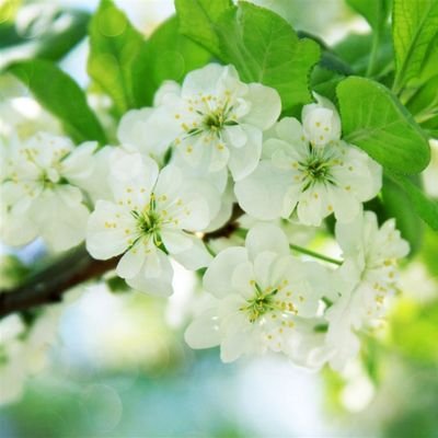 AgapeToYouHide_YouAreCradledInHeavensWarmEternalPeace_IDontAskForAnything_IJustEmbraceAllOfYou_AllIDesireIsToGiveToYouUnconditionally
❋和訳は固定ポストをご覧ください
