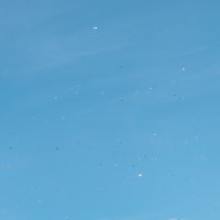 ぽんすけ (@ponsukemgmg_usj) 's Twitter Profile