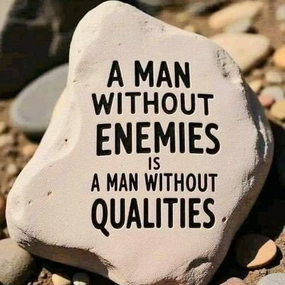 |Entrepreneur | Detached and analytical | Flexible and open-minded | Your opinion matters | Fluent in Cold Honesty |